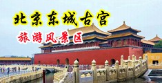 美女爆乳污网站中国北京-东城古宫旅游风景区